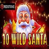 10 Wild Santa