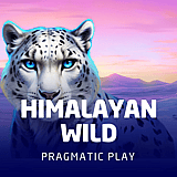 Himalayan Wild