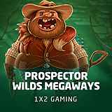 Prospector Wilds Megaways