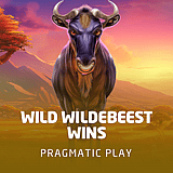Wild Wildebeest Wins